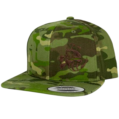 Buzzz Snapback Hat