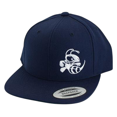 Snapback hat with Buzzz design